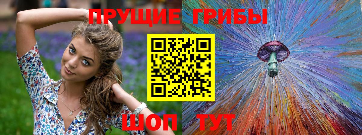 Кыштым  Галлюциногенные грибы Psilocybe  Вход с VPN  Галлюциногенные грибы MAGIC MUSHROOMS 